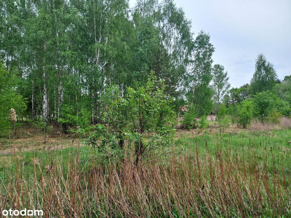 Doskonały dojazd do Warszawy - Widok 2