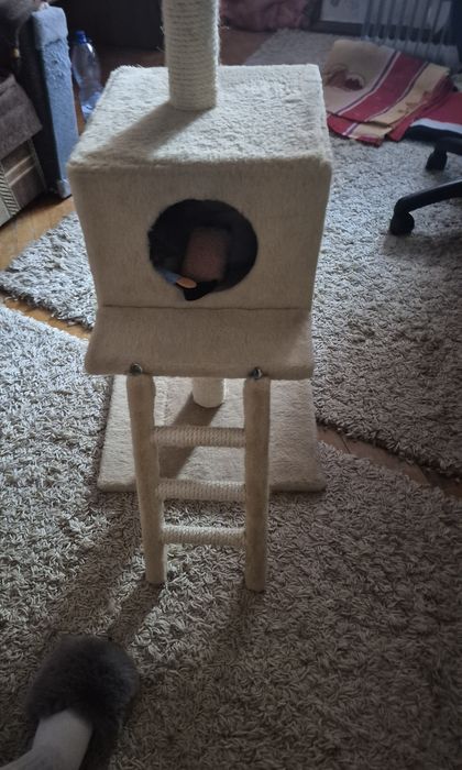 Будинок для котиків