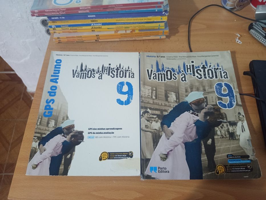Manuais e livros de fichas 9 ano