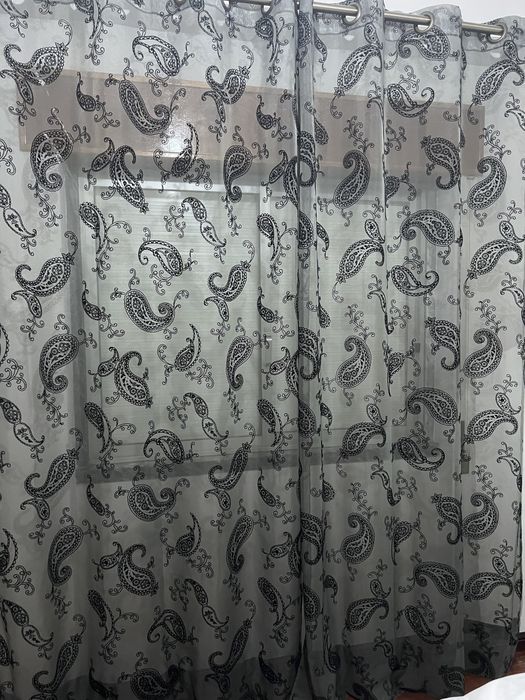 Black Cat Curtains425813722489180162