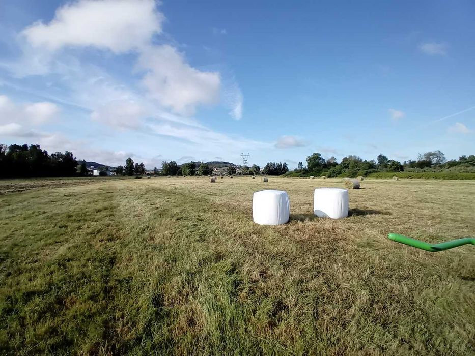 Rolos Fenosilagem azevém nascediço