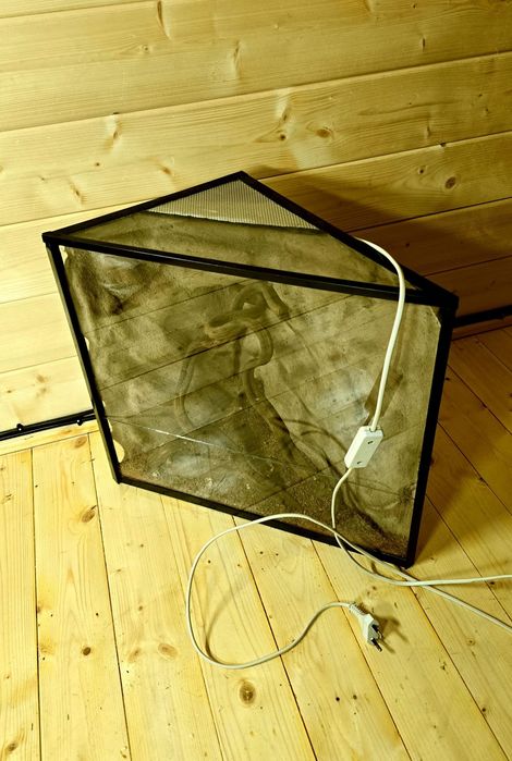 Terarium pająk jaszczórka modliszka patyczaki