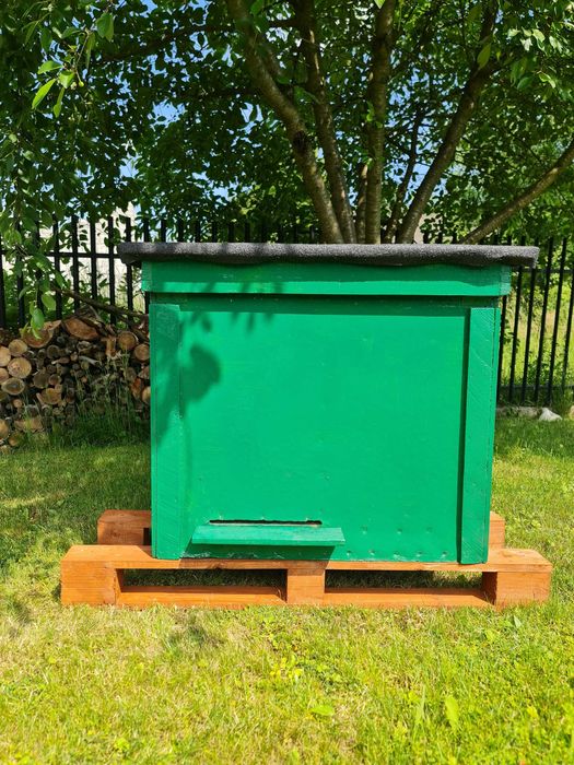 Ule warszawskie poszerzane