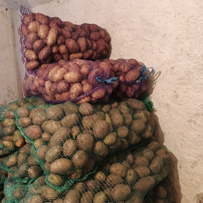 Продам Картоплю.