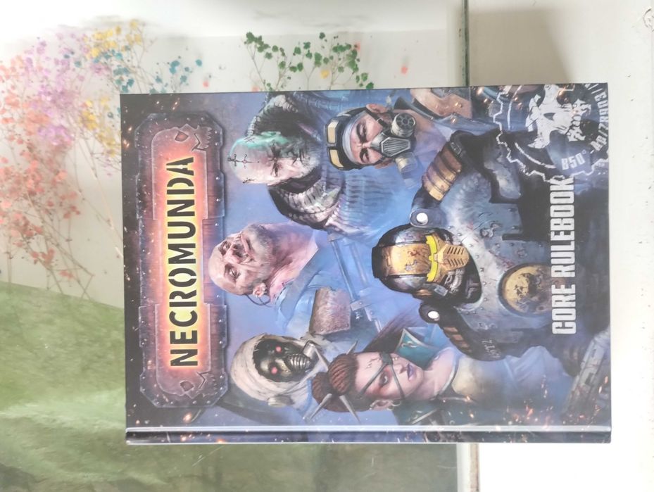 Necromunda, Core rulebook, Stan idealny