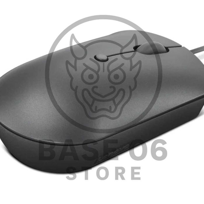 Lenovo 300 USB-C Mouse Souris Lenovo