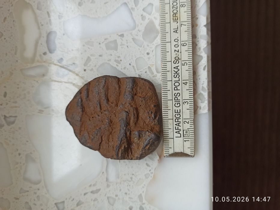 Skamieliny minerały