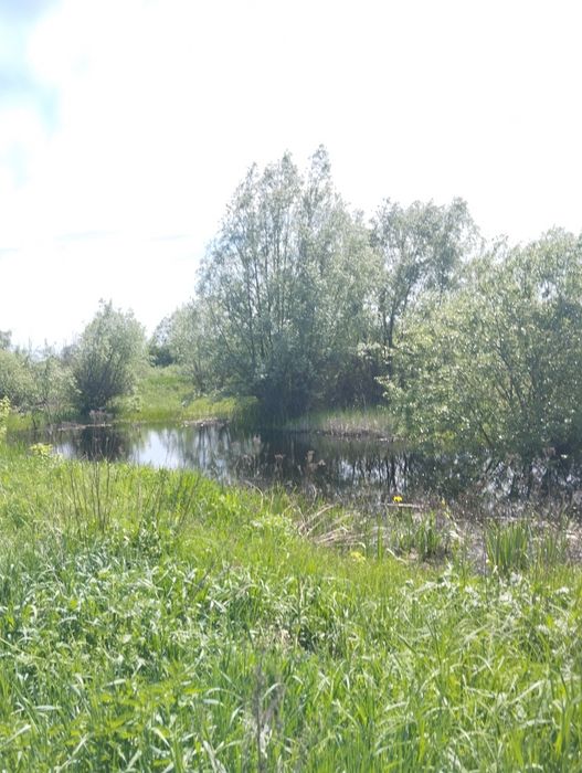 Продам будинок під ремонт у Нововодолазькому  районі Харківської облас