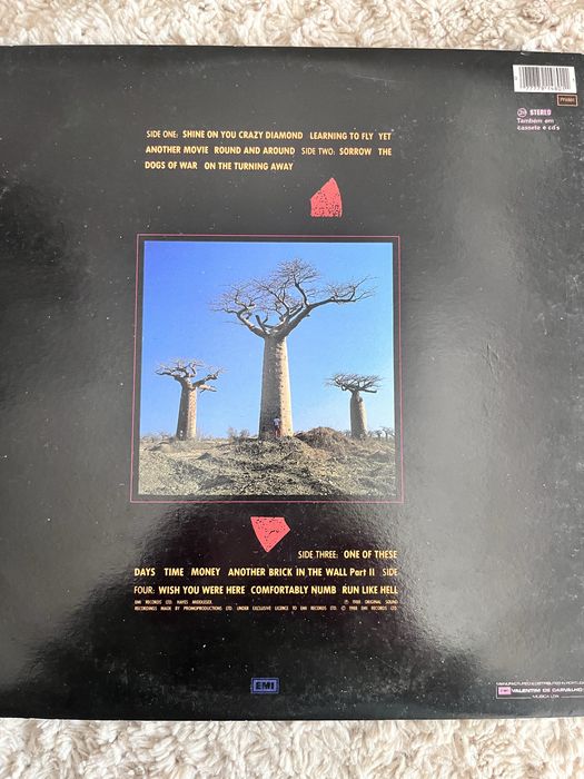 Album duplo Pink Floyd - Delicate Sound of Thunder