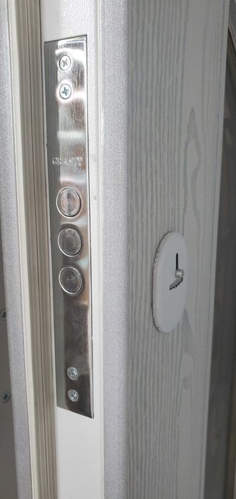 Drzwi zewnętrzne wejściowe do domu Ekskluzywne