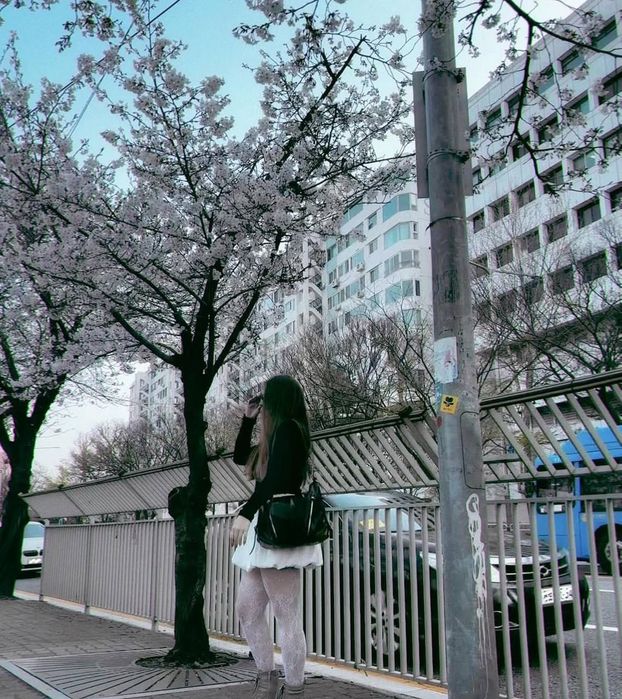 Репетитор по корейскому языку