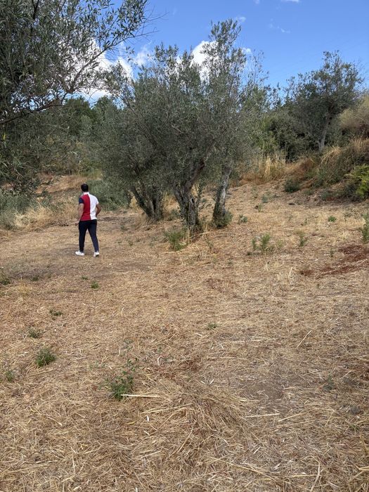 Terreno Murça 5100m