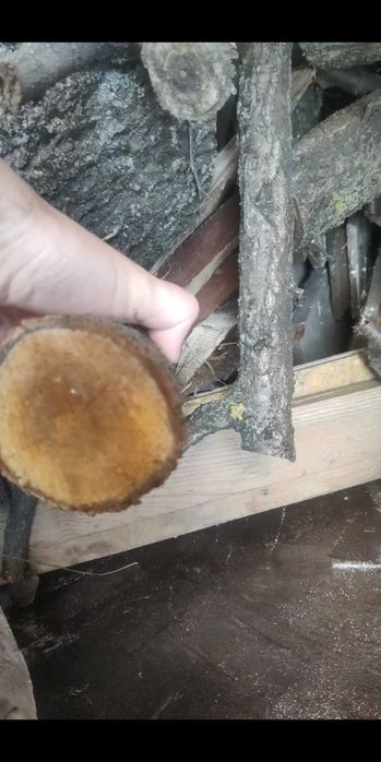 Дрова 10 кубів фруктових дерев