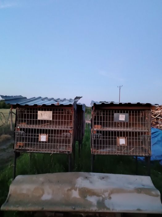 Sprzedam klatki dla królików