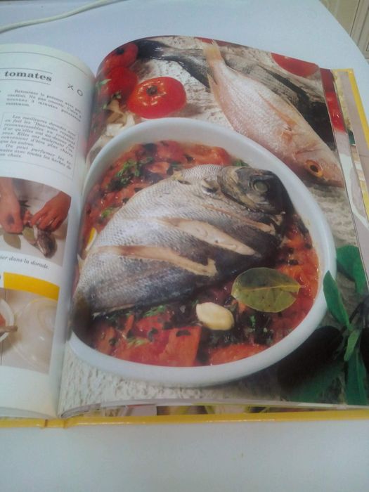 Livro Les plaisirs des Micro-ondes (peixes) / Língua Francesa