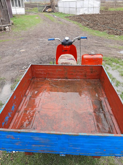 Муравей с документами