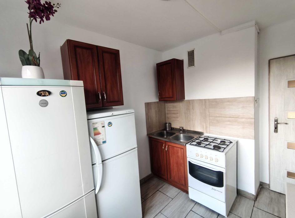 Kozanów pokój wynajem