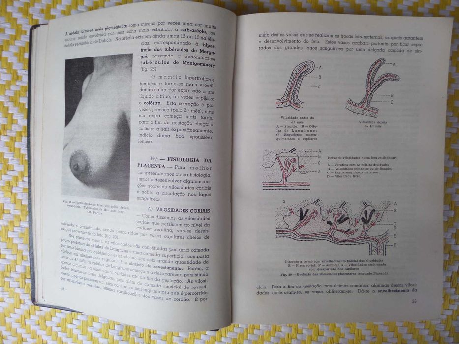 NOÇÕES DE OBSTETRÍCIA 
Aureliano Dias Gonçalves