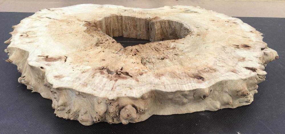 Кап Зріз Слеб Тополь