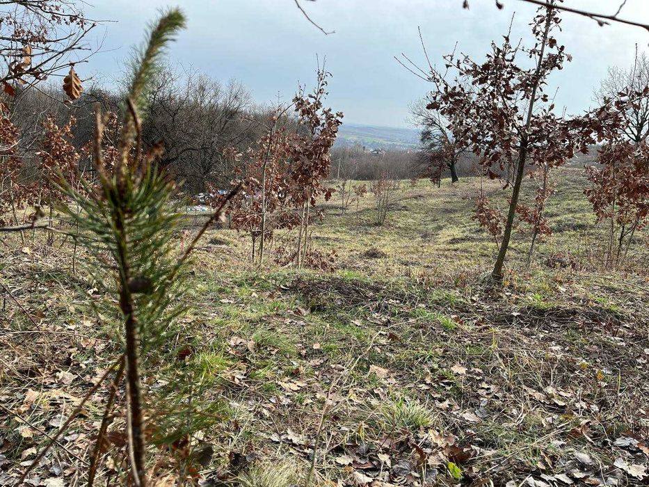 Продається земельна ділянка, смт Середнє Код: 43367