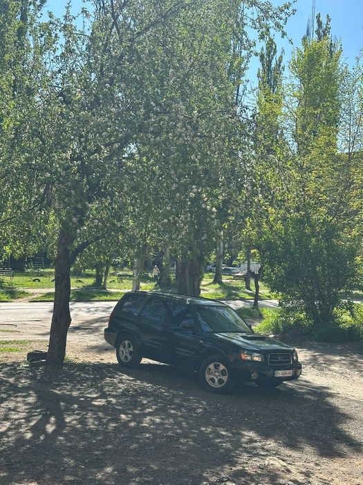 subaru forester 2.0 бензин турбо