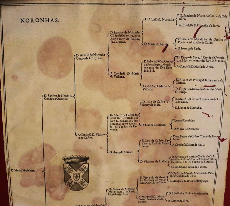 NORONHA S Condes de ODEMIRA árvore de costados 1602 rara