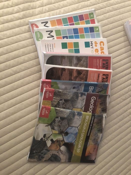 Livros escolares 10° ano