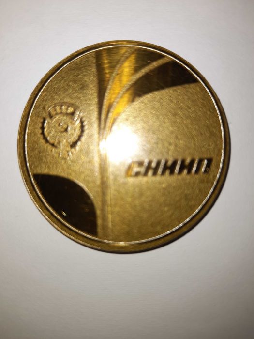 Памятный знак «Участнику торжественного собрания СНИИП.