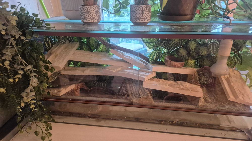 Terrarium w pełni wyposażone