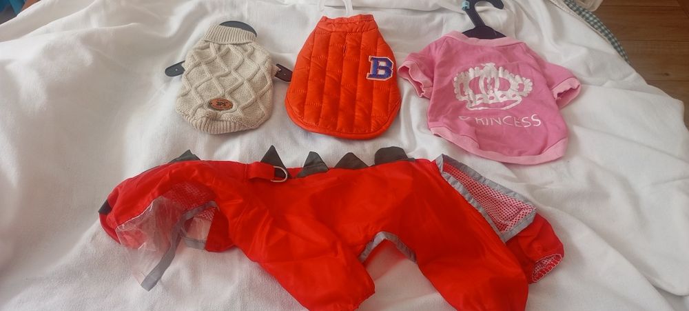 Roupa cão pequeno