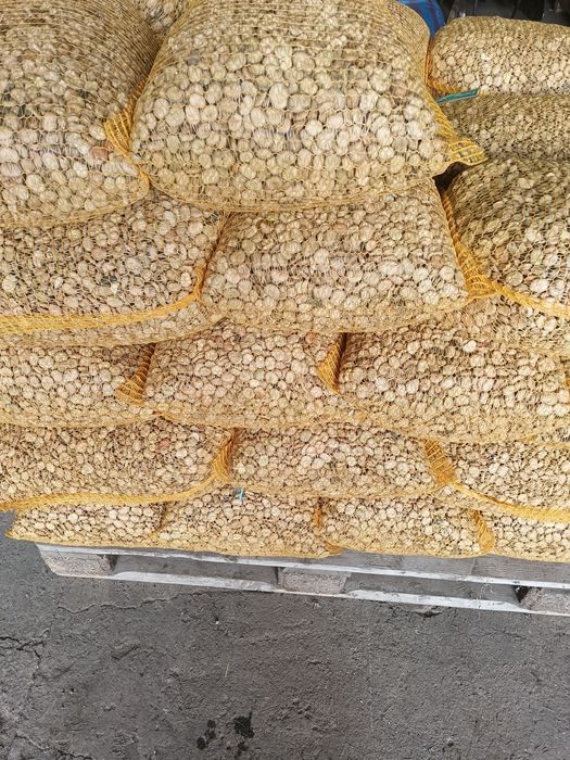 Sprzedam bób rambos