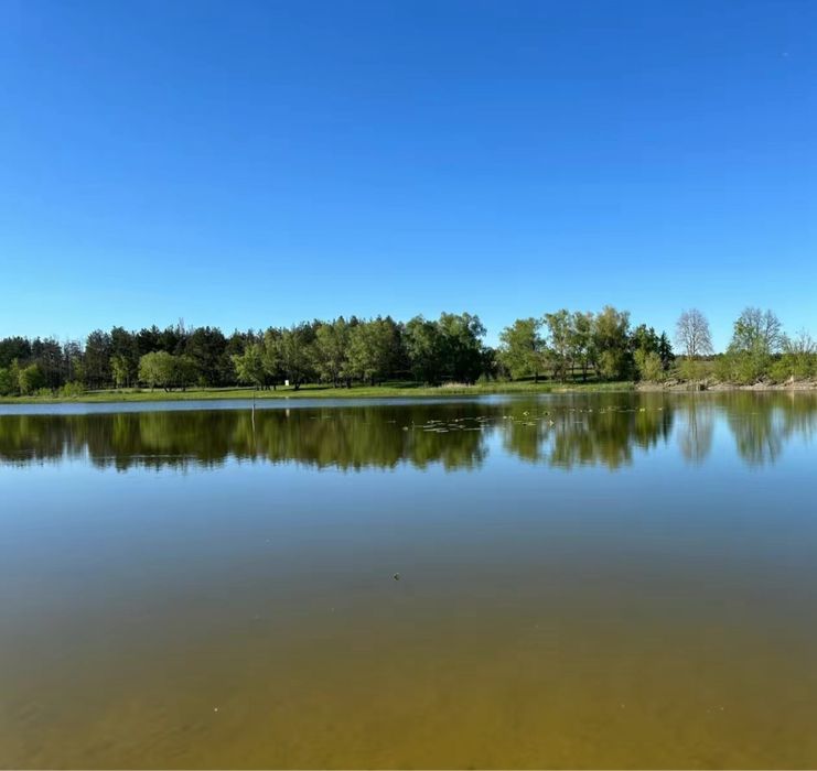 Село Андреевка участок 65 соток , 25 сот приватезировано