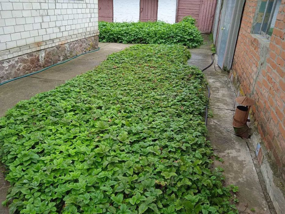 Продається будинок