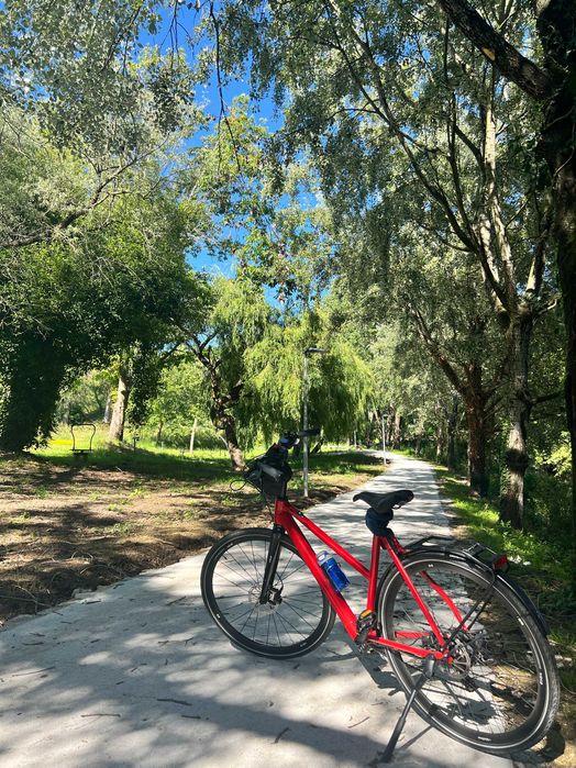 Bicicleta elétrica muito leve