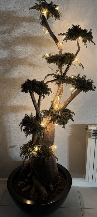 Arvore Bonsai decorativo ( artificial)