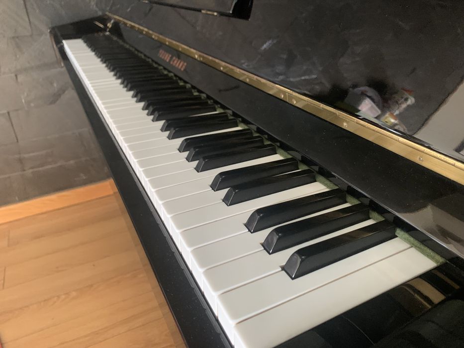 Piano Vertical Young Cheng