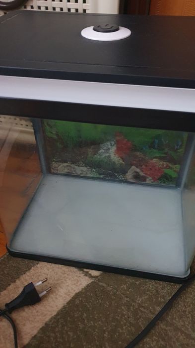 Акваріум на 12 літрів