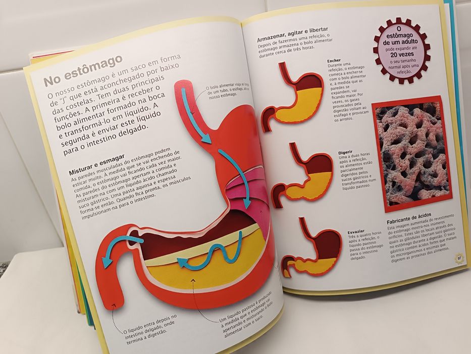 A Máquina do Corpo Humano. Livro educativo.