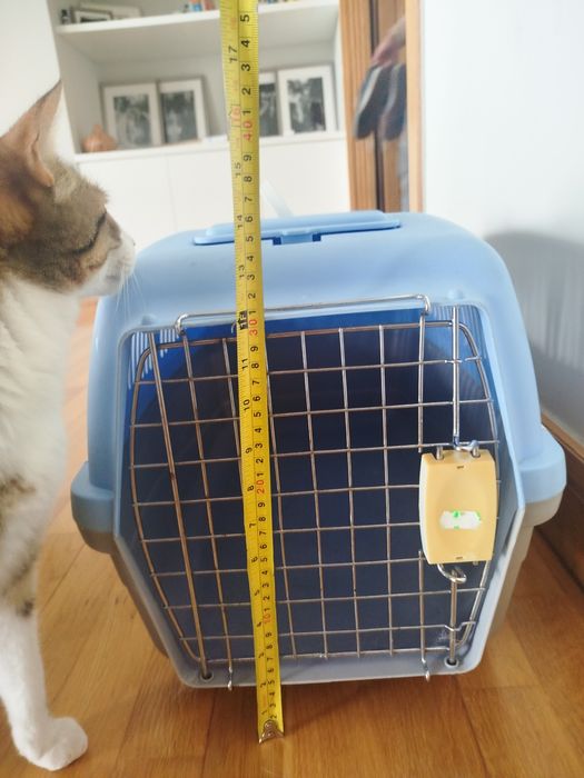 Transportadora para gato grande ou cão