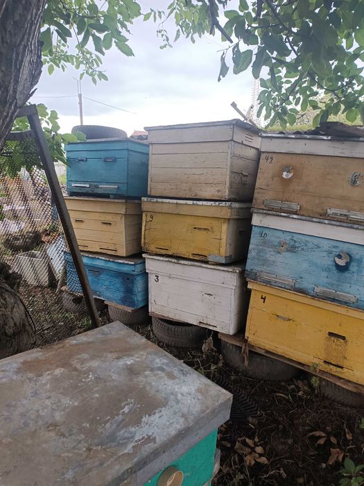 Вулики (Улья, Улики)