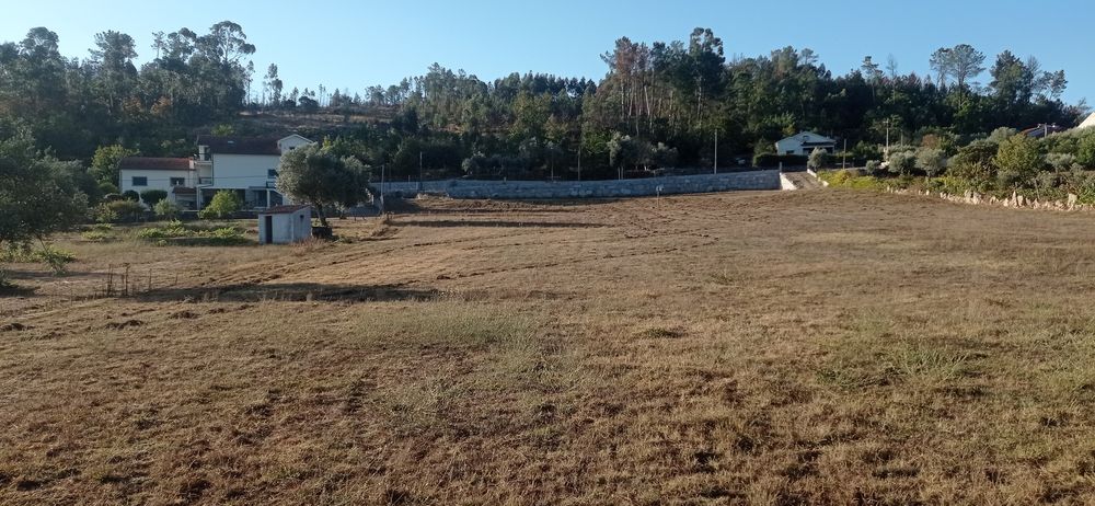 Terreno com 7.020m², plano e murado, excelentes vistas panorâmicas