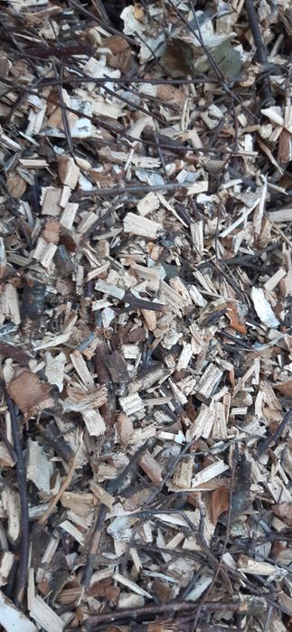 Zrębka z drzew liściastych i iglastych do ogrodu