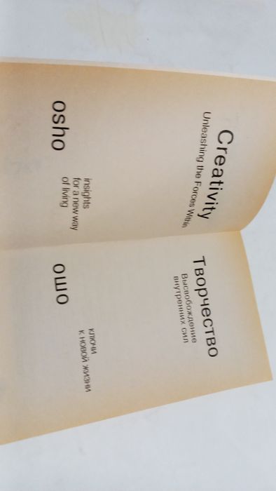 ОШО 2003г. Творчество,  высвобождение внутренних сил