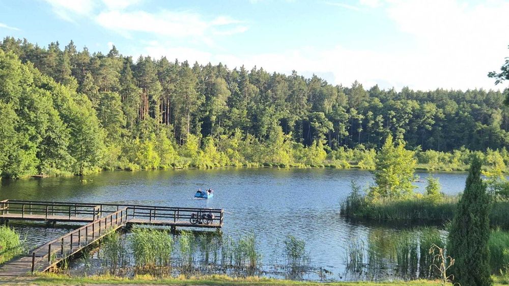 Noclegi | Domki | Camping | Kajaki | Paintball | Jezioro | Witnica – Leśne Ustronie