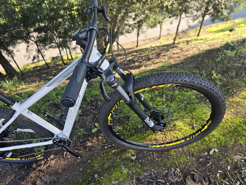 Btt 29 s nova 11x1v