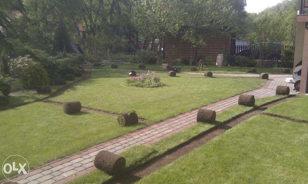 Trawa z rolki wraz z ułożeniem - 2026 PROMOCJA !