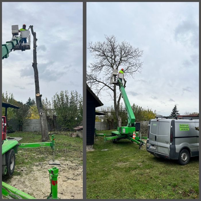 Wycinka drzew, podnośnik koszowy, prace ogrodnicze