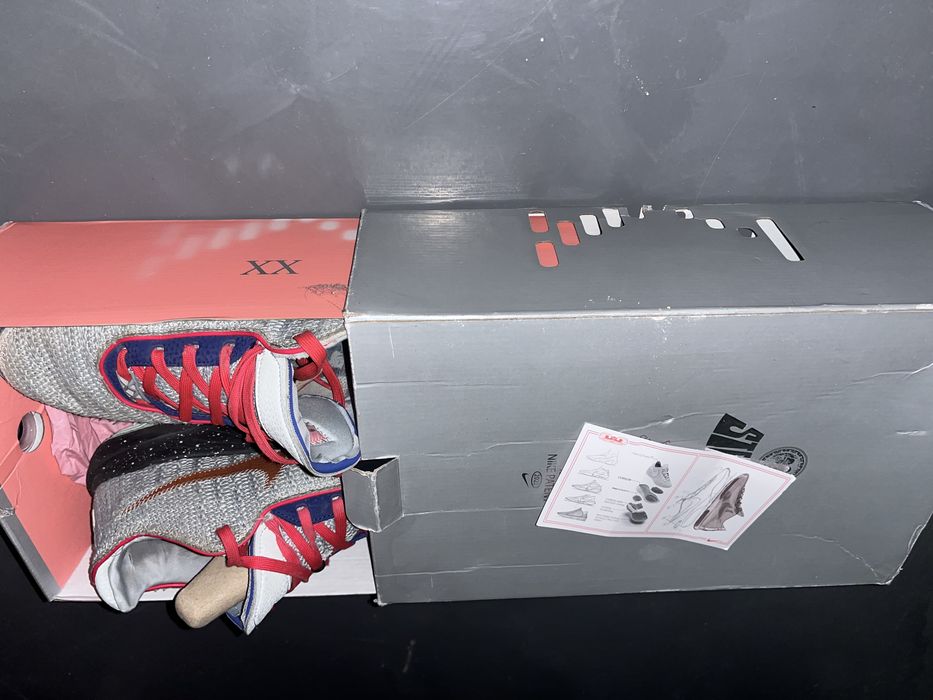 Баскетбольні кросівки lebron XX 44р