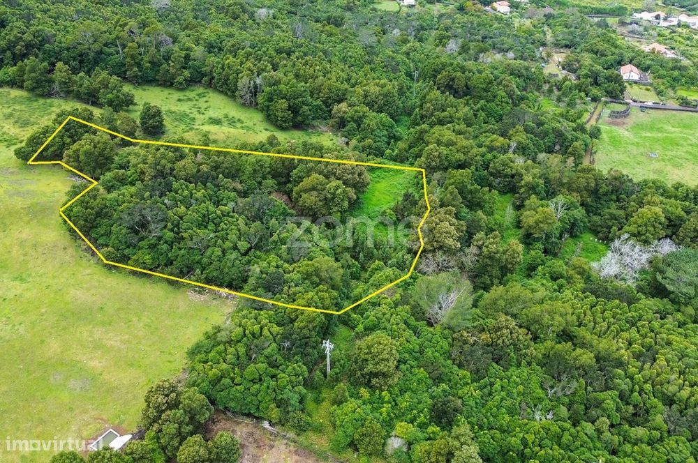 Terreno Agrícola na Zona da Mesquita em São Roque do Pico