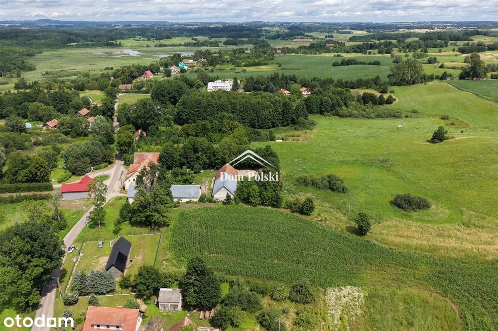 Działka w Puszczy Boreckiej - Mazury - Widok 5